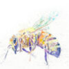 Site icon